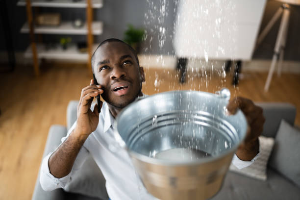 Best Water damage cleanup near me  in Mikes, TX