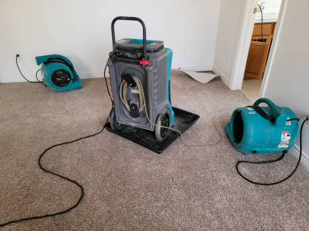 Water damage restoration insurance claims in Mikes, TX