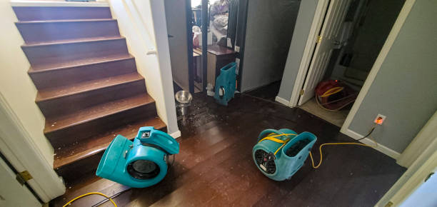 Best Water damage restoration mold remediation  in Mikes, TX