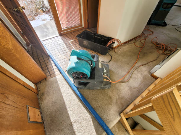 Best Emergency water damage restoration  in Mikes, TX