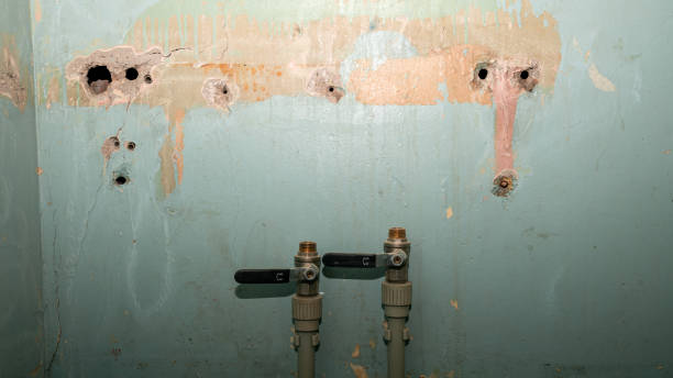 Best Professional water damage repair  in Mikes, TX