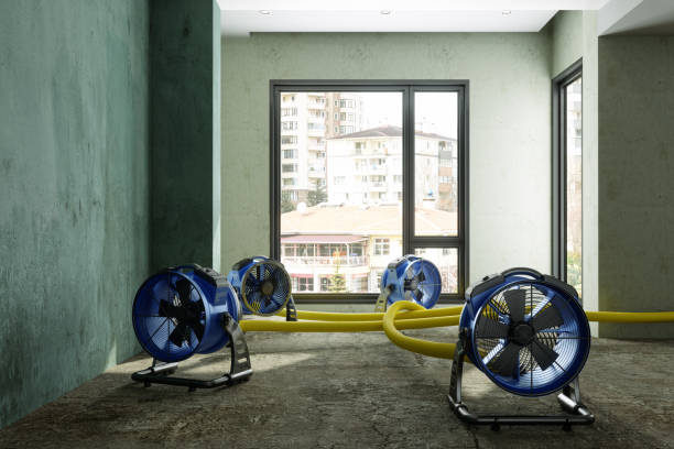 Best Commercial water damage restoration  in Mikes, TX